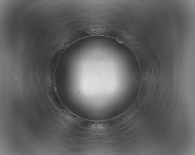 X0000062670751200512281738