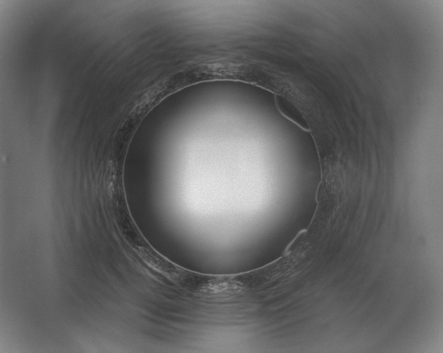 X0000062670752200512281739