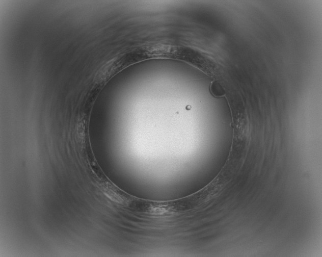 X0000062670753200512281739