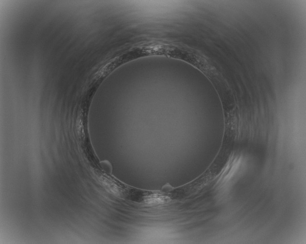 X0000062670754200512281739