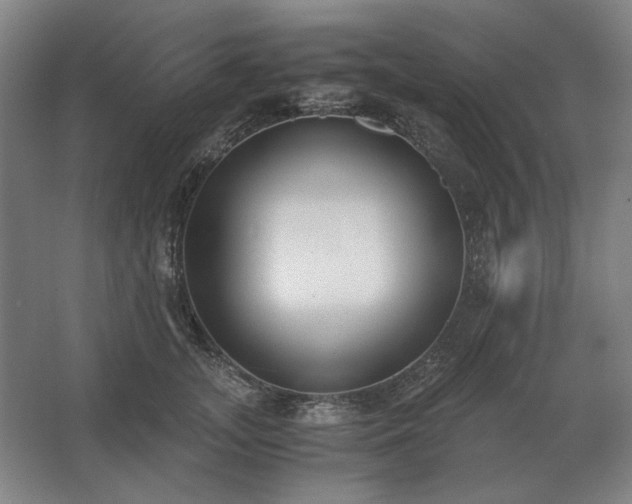 X0000062670755200512281739