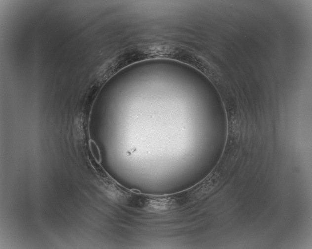 X0000062670757200512281739