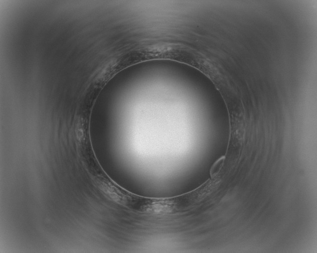 X0000062670758200512281739