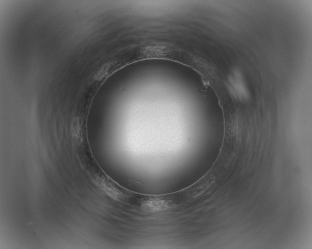 X0000062670759200512281739