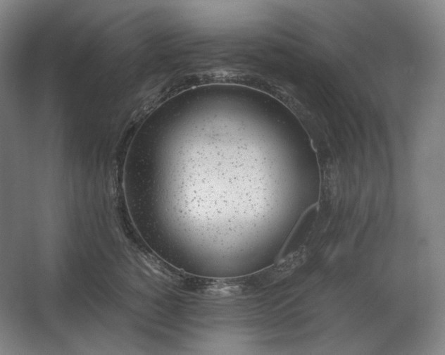 X0000062670760200512281739