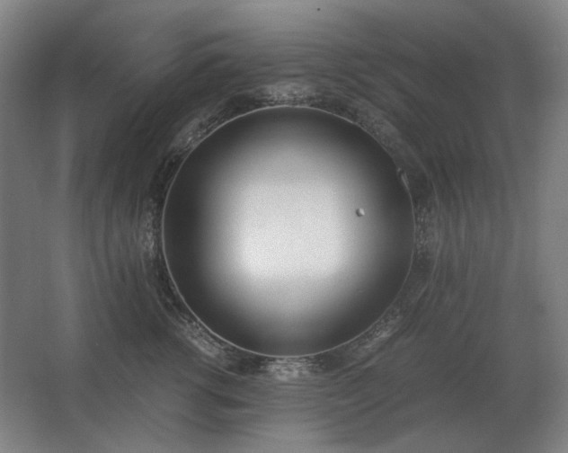 X0000062670762200512281739