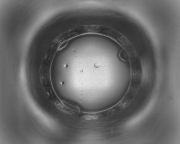 X0000062670765200512281739