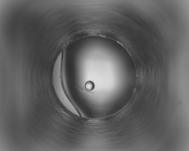 X0000062670766200512281739