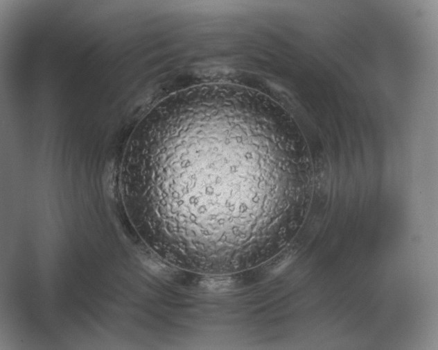 X0000062670767200512281739