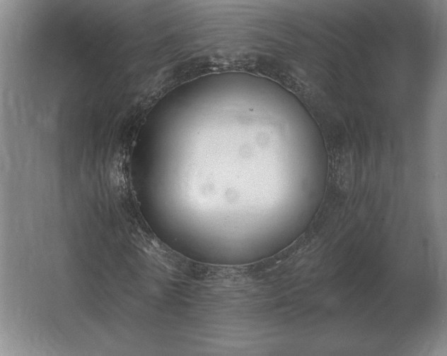 X0000062670770200512281738