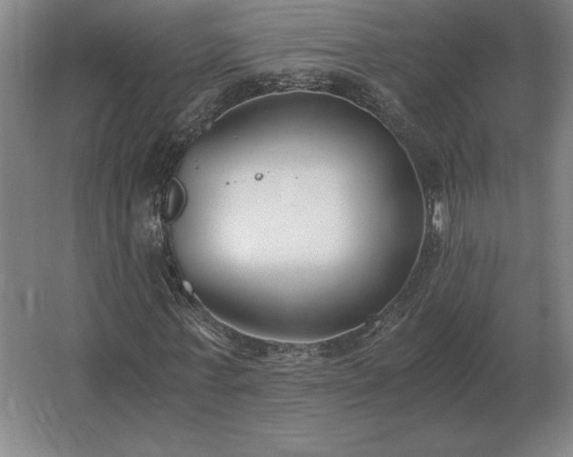 X0000062670771200512281738