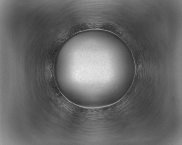 X0000062670772200512281738