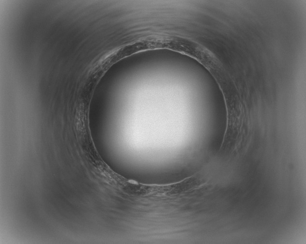 X0000062670773200512281738