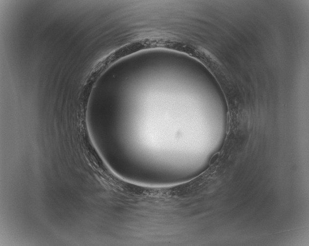 X0000062670775200512281738