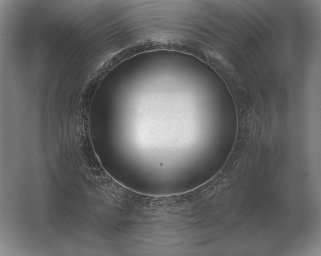 X0000062670776200512281738