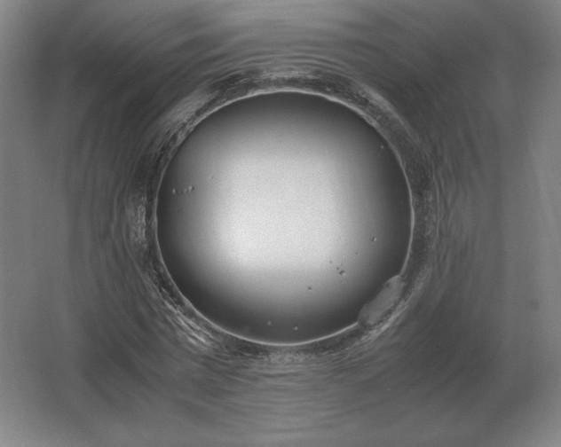 X0000062670777200512281738