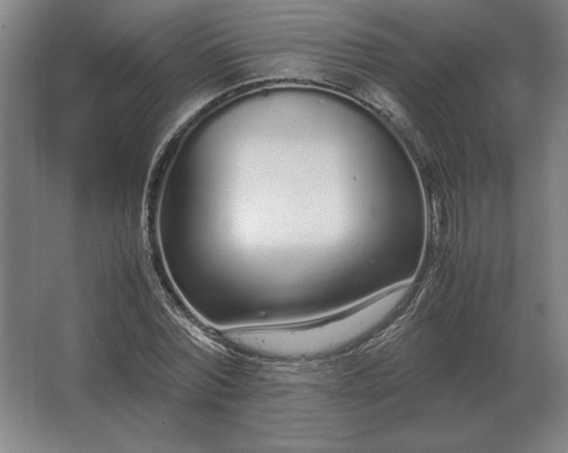 X0000062670780200512281738