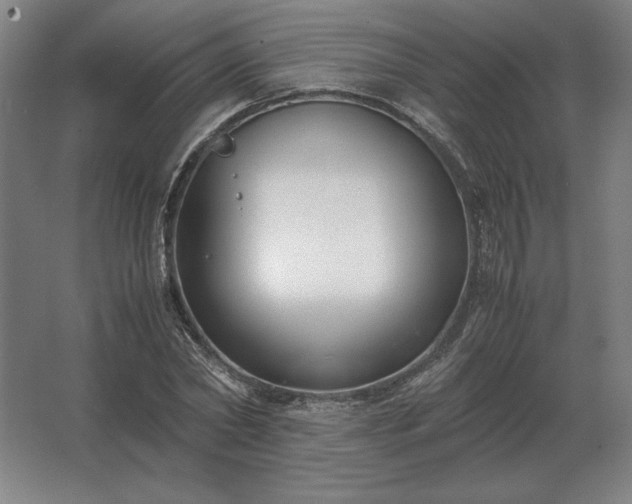 X0000062670782200512281738