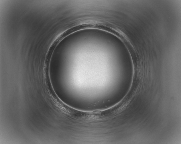 X0000062670783200512281738