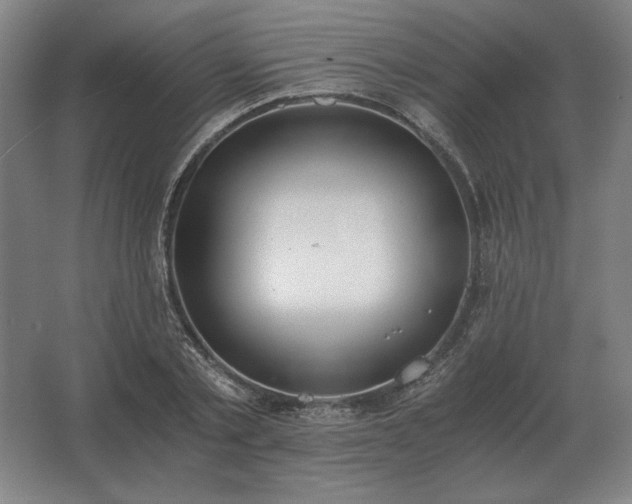 X0000062670789200512281738