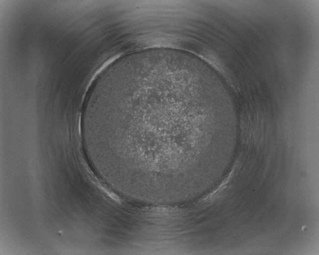 X0000062670790200512281738