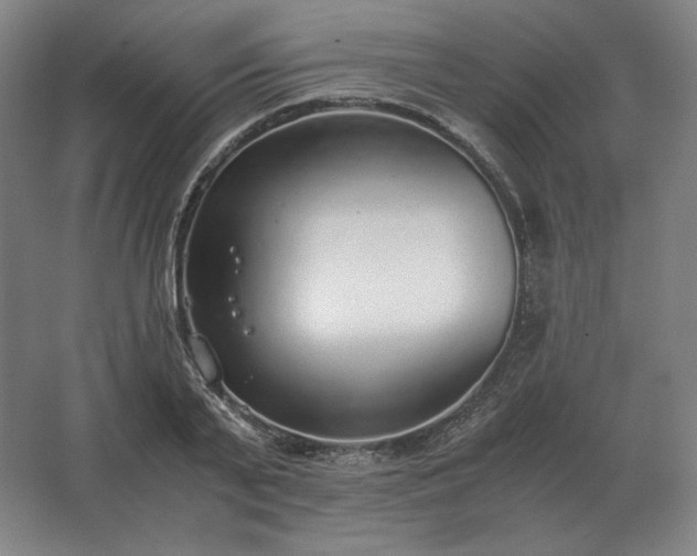 X0000062670791200512281738