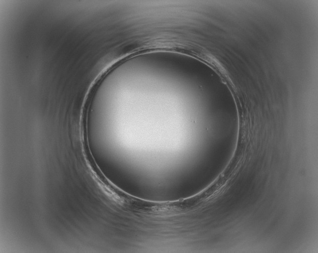 X0000062670795200512281738