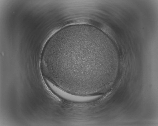 X0000062670797200512281737