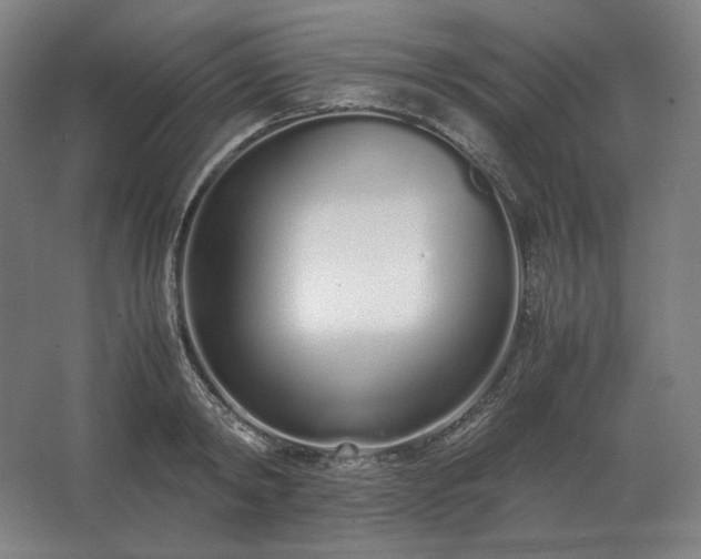 X0000062670798200512281737