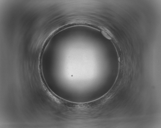 X0000062670799200512281737