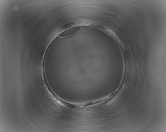 X0000062670802200512281737