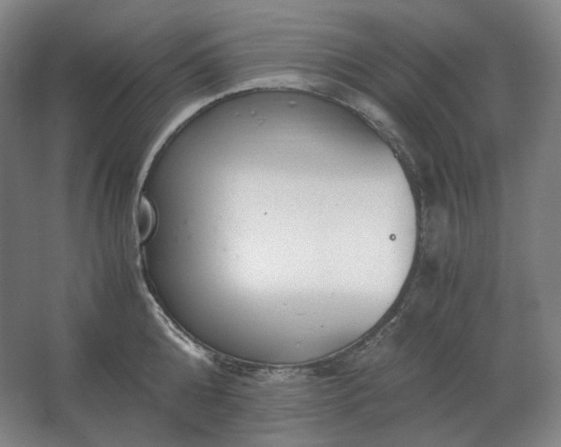 X0000062670808200512281737