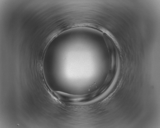 X0000062670809200512281737