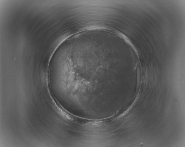 X0000062670810200512281737