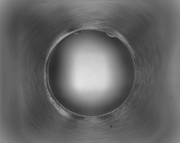 X0000062670811200512281737