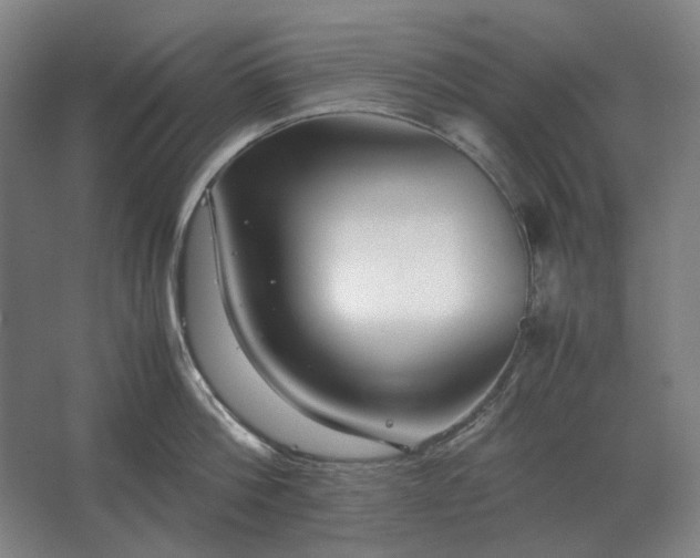 X0000062670812200512281737