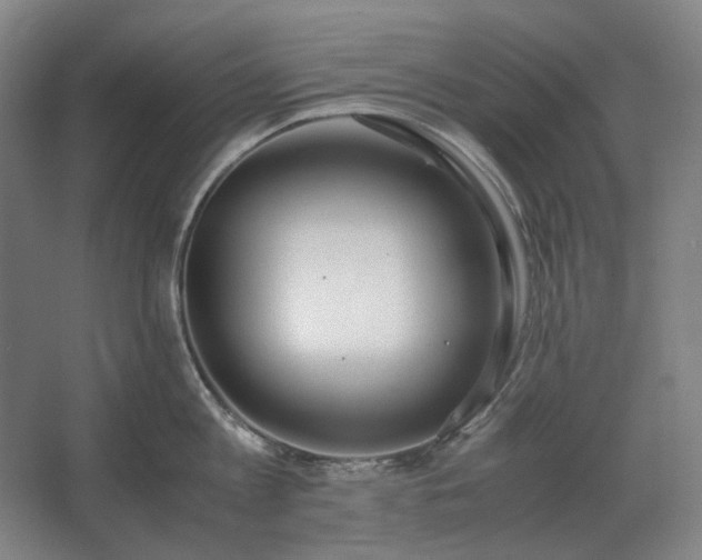 X0000062670813200512281737