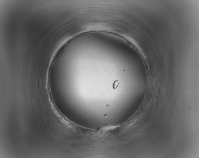 X0000062670815200512281737