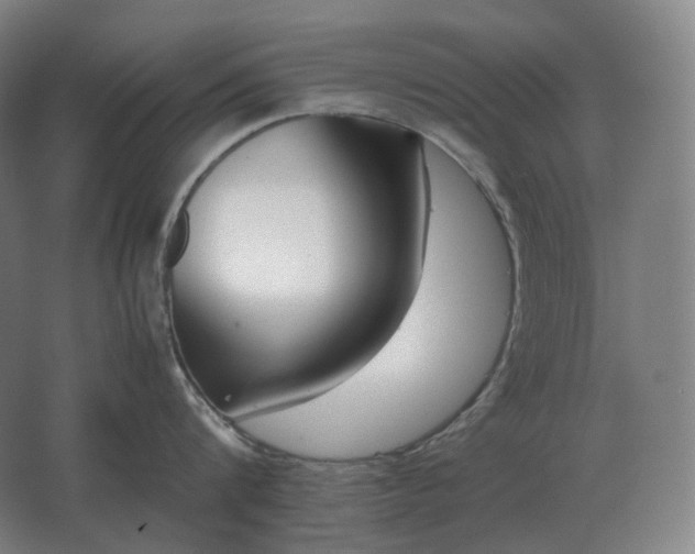 X0000062670816200512281737