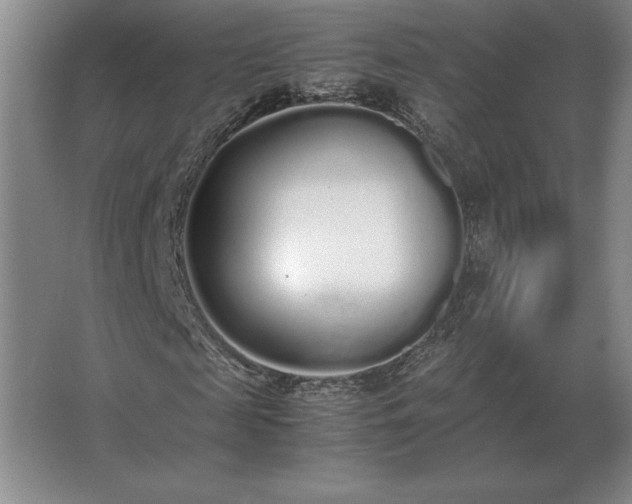 X0000062670817200512281736