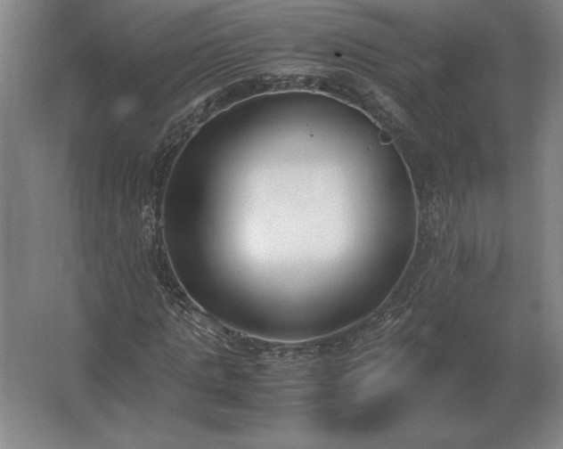 X0000062670821200512281736