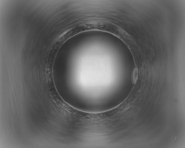 X0000062670822200512281736