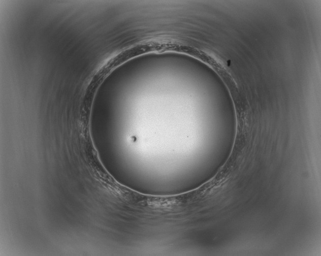 X0000062670823200512281736