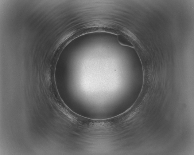 X0000062670826200512281737