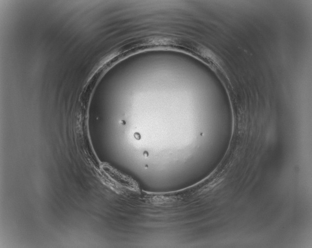 X0000062670827200512281737