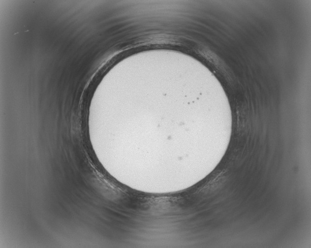 X0000062670828200512281737