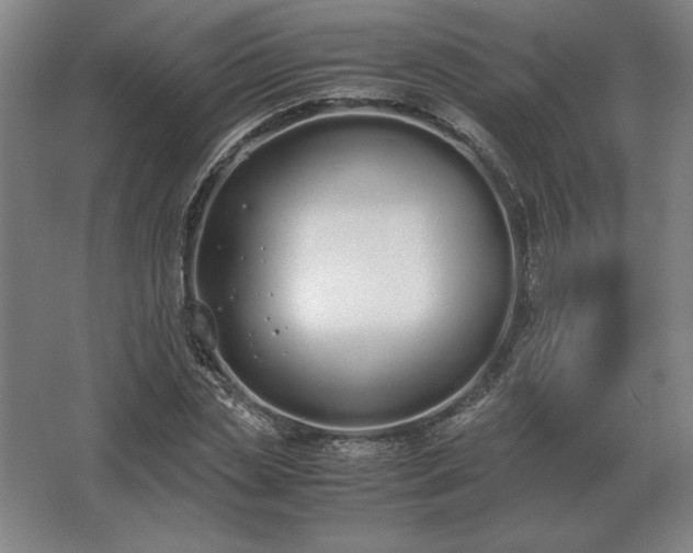 X0000062670829200512281737