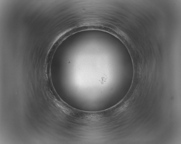 X0000062670830200512281737