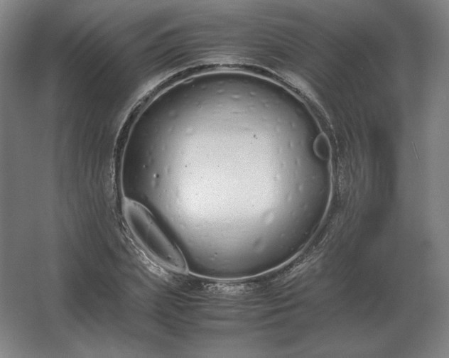 X0000062670831200512281737