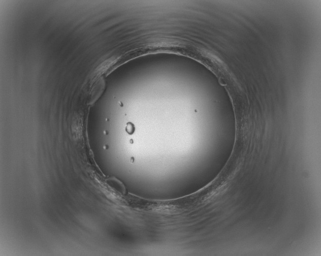 X0000062670833200512281737